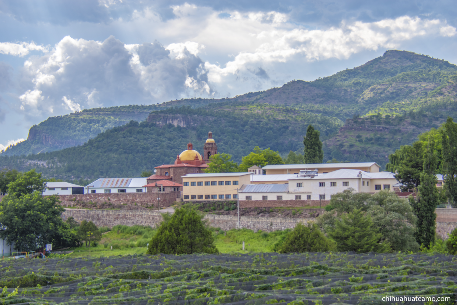 Tour Cerocahui Exclusivo